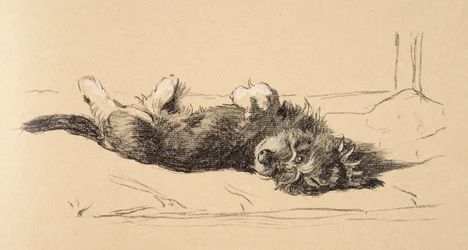 Chiot teckel à poil dur (détail), 1930, Illustrations de son carnet de croquis utilisé pour Just Among Friends, Aldin, Cecil Charles Windsor (1870-1935), publié plus tard par Eyre and Spottiswoode Limited, 1934