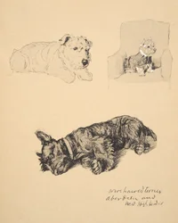 Terrier à poil dur, Aberdeen et West Highlander, 1930, Illustrations de son carnet de croquis utilisées pour Just Among Friends, publié par Eyre et Spottiswoode