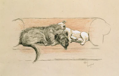 Lévrier irlandais et bull-terrier endormis sur un canapé