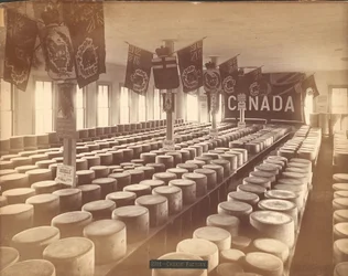 Usine de fromage