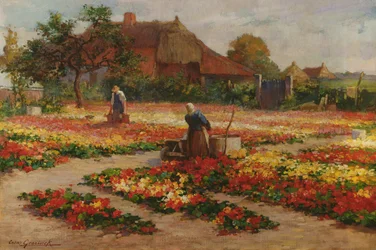 Le jardin maraîcher