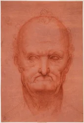 Tête de vieil homme, vers 1515
