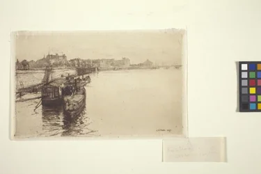 Bateaux De Passagers Sur La Seine