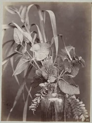 Étude de fleurs avec bouteille en verre
