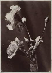 Étude de fleurs avec vase en verre