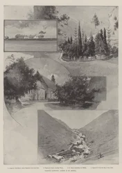 La captivité de Cronje, scènes à Sainte-Hélène