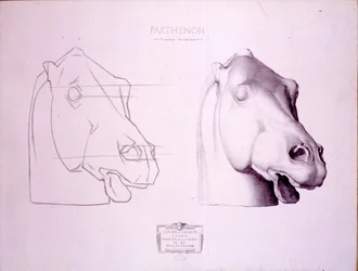Tête de cheval du fronton ouest du Parthénon, planche 47 du Cours de Dessin, c.1898