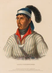 APAULY-TUSTENNUGGEE, extrait de l