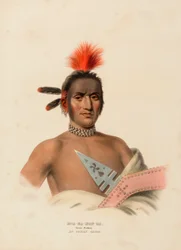 MOA-NA-HON-GA. GREAT WALKER. AN IOWAY CHIEF, extrait de History of the Indian Tribes of North America (Histoire des tribus indiennes d
