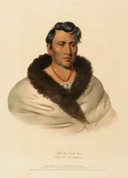 ONG PA TON GA. CHIEF OF THE OMAHAS, extrait de History of the Indian Tribes of North America (Histoire des tribus indiennes d