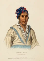SPRING FROG. A CHEROKEE CHIEF, extrait de History of the Indian Tribes of North America (Histoire des tribus indiennes d