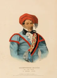 TUSTENNUGGEE EMATHLA, extrait de History of the Indian Tribes of North America (Histoire des tribus indiennes d