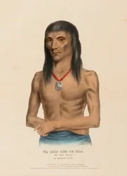 WA-BISH-KEE-PE-NAS. Le pigeon blanc. A CHIPPEWA, extrait de History of the Indian Tribes of North America (Histoire des tribus indiennes d