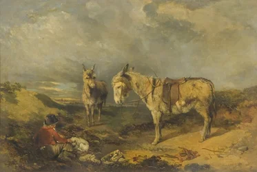 Deux ânes