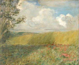 Le champ de maïs