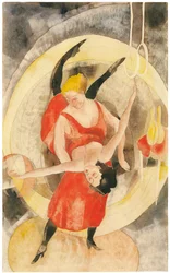 Acrobates