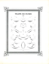 Plume calligraphique grand format (impression)