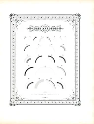 Éléments à coins arrondis (impression)