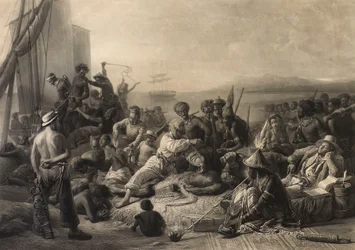 Scène sur la côte d