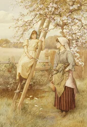 Un peu de commérage