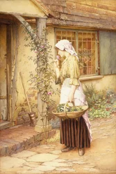 La plus douce des roses