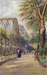 Zoo de Londres : Volière occidentale
