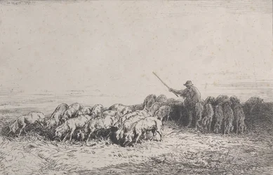 Un troupeau de cochons
