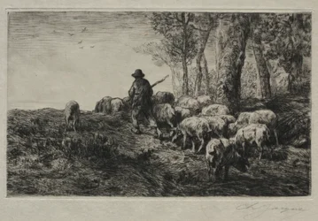 Un troupeau de porcs