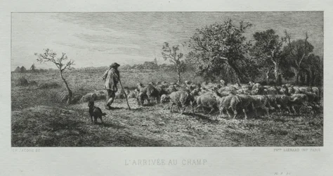 Arrivée au champ
