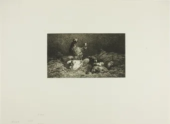 Les poules au perchoir