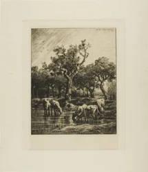 Vaches à un abreuvoir