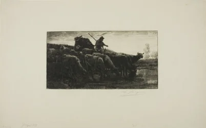 Troupeau de vaches à l