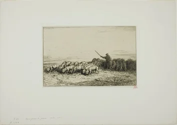 Troupeau de cochons
