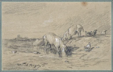 Troupeau de cochons. Dessin de Charles Jacque (1813-1894)