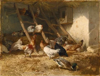 Poules