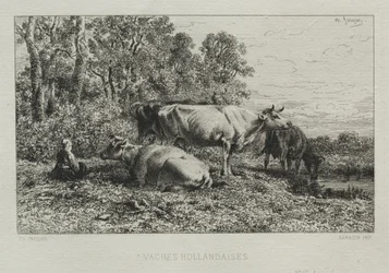 Vaches hollandaises