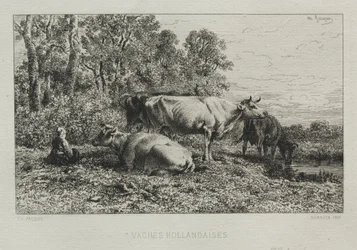 Vaches hollandaises