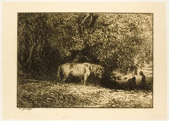 Cheval dans un bois