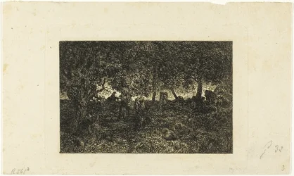 Dans la forêt