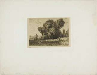 Paysage de l
