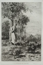 Gardien des dindes