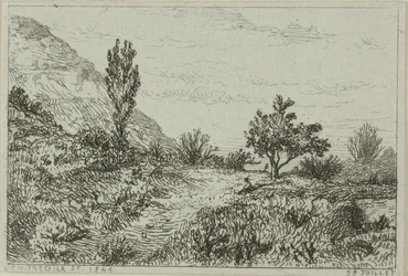 Paysage