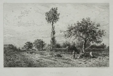 Paysage