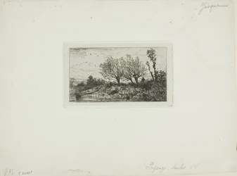 Paysage, saules