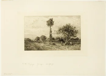 Paysage avec route sinueuse