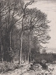 Lisière du Bois