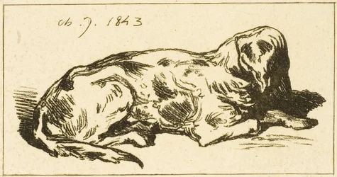 Chien couché