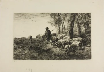 Homme avec un troupeau de cochons