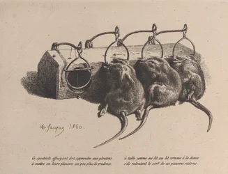 Piège à souris, 1860
