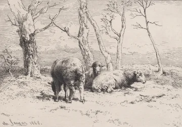 Moutons, 1868